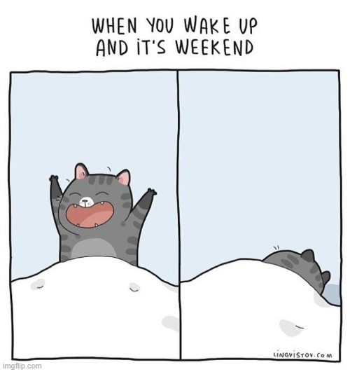 A Cat's Way Of Thinking | image tagged in memes,comics,cats,wake up,the weekend,sleeping cat | made w/ Imgflip meme maker