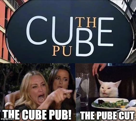 What is that supposed to say? | THE CUBE PUB! THE PUBE CUT | image tagged in woman yelling at cat | made w/ Imgflip meme maker