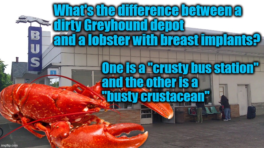 horrible pun | What's the difference between a 
dirty Greyhound depot 
and a lobster with breast implants? One is a "crusty bus station" 
and the other is a
"busty crustacean" | image tagged in puns,bad pun,lobster,bus stop | made w/ Imgflip meme maker