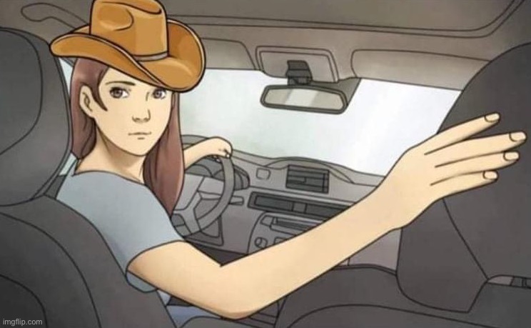 Reverse cowgirl | image tagged in reverse cowgirl | made w/ Imgflip meme maker