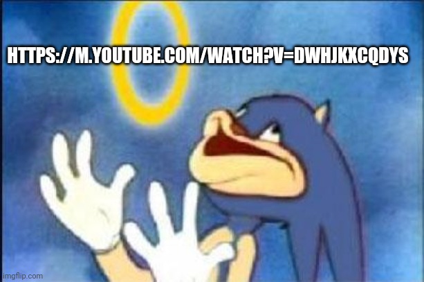 Sonic derp | HTTPS://M.YOUTUBE.COM/WATCH?V=DWHJKXCQDYS | image tagged in sonic derp | made w/ Imgflip meme maker