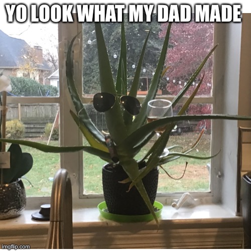 YO LOOK WHAT MY DAD MADE | made w/ Imgflip meme maker