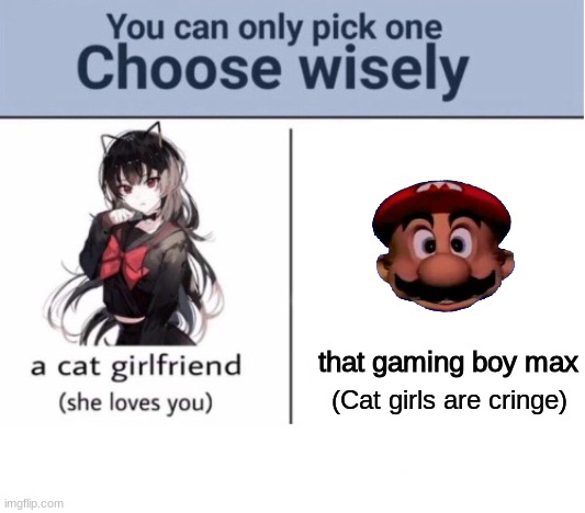 Choose now... | that gaming boy max; (Cat girls are cringe) | image tagged in choose wisely,memes | made w/ Imgflip meme maker