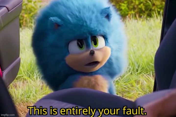 This is entirely your fault sonic | image tagged in this is entirely your fault sonic | made w/ Imgflip meme maker