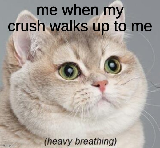 this is so basic | me when my crush walks up to me | image tagged in memes,heavy breathing cat | made w/ Imgflip meme maker