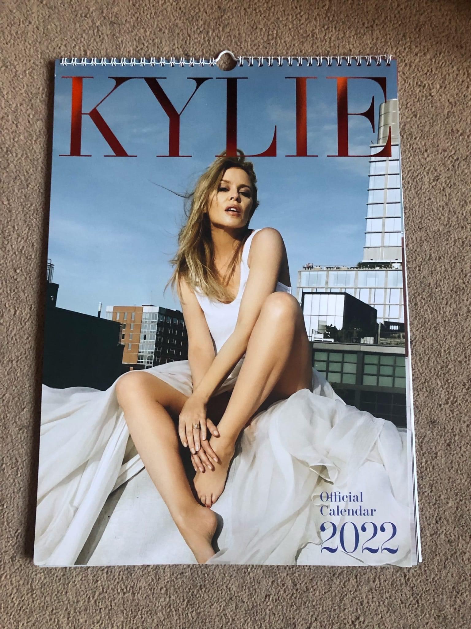 Kylie calendar 2022 Blank Meme Template