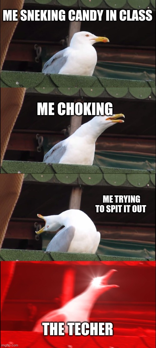 Inhaling Seagull | ME SNEKING CANDY IN CLASS; ME CHOKING; ME TRYING TO SPIT IT OUT; THE TECHER | image tagged in memes,inhaling seagull | made w/ Imgflip meme maker