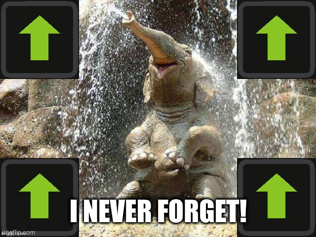 Upvote Elephant | I NEVER FORGET! | image tagged in upvote elephant | made w/ Imgflip meme maker