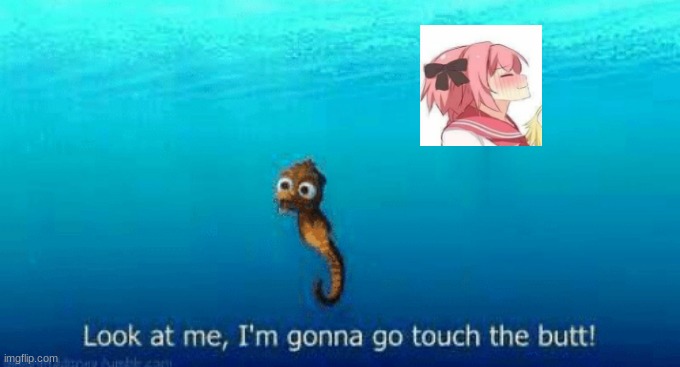 image tagged in astolfo,finding nemo,finding dory,look at meee | made w/ Imgflip meme maker