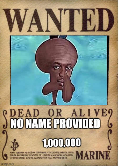 One piece wanted poster template | NO NAME PROVIDED; 1,000,000 | image tagged in one piece wanted poster template | made w/ Imgflip meme maker