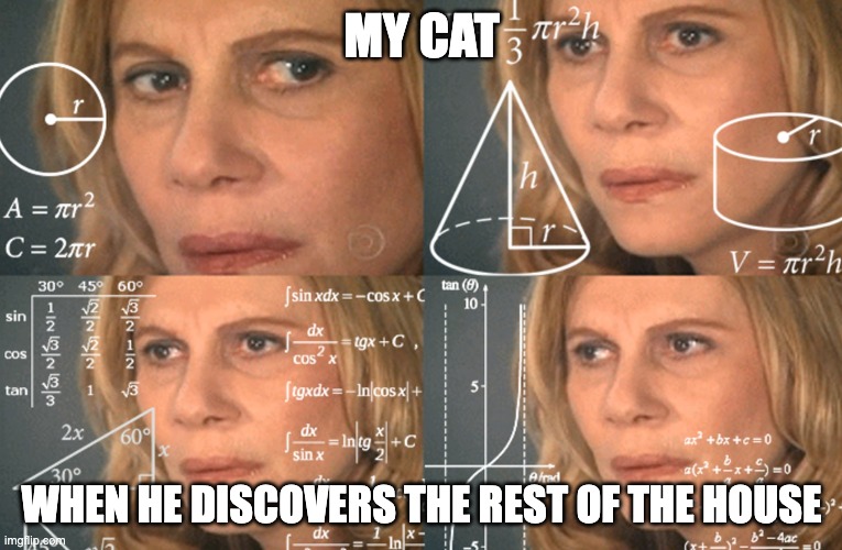 My cat when he discovers the rest of the house | MY CAT; WHEN HE DISCOVERS THE REST OF THE HOUSE | image tagged in confused math lady | made w/ Imgflip meme maker