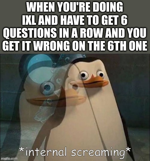 Private Internal Screaming | WHEN YOU'RE DOING IXL AND HAVE TO GET 6 QUESTIONS IN A ROW AND YOU GET IT WRONG ON THE 6TH ONE | image tagged in private internal screaming | made w/ Imgflip meme maker