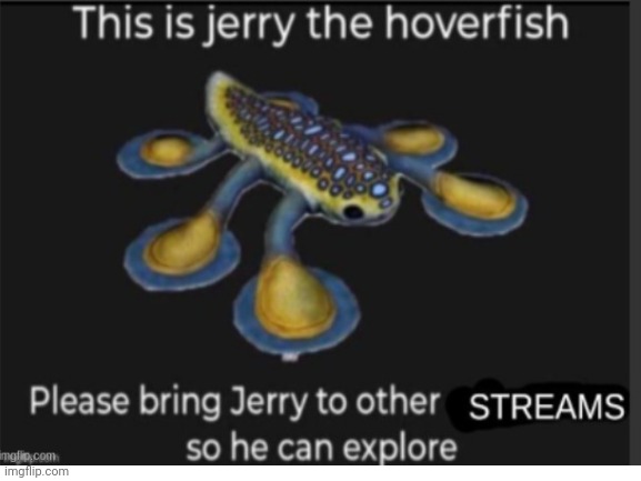 Let Jerry explore | image tagged in memes | made w/ Imgflip meme maker