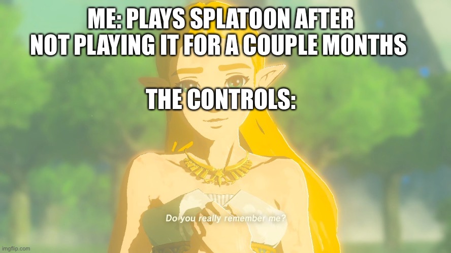 Zelda do you really remember me? | ME: PLAYS SPLATOON AFTER NOT PLAYING IT FOR A COUPLE MONTHS; THE CONTROLS: | image tagged in zelda do you really remember me | made w/ Imgflip meme maker