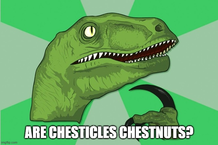 new philosoraptor | ARE CHESTICLES CHESTNUTS? | image tagged in new philosoraptor | made w/ Imgflip meme maker