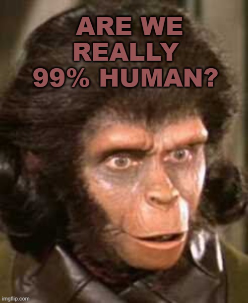 "Are We Really 99% Human?" | ARE WE REALLY 99% HUMAN? | image tagged in andrew taylor now dr zira | made w/ Imgflip meme maker