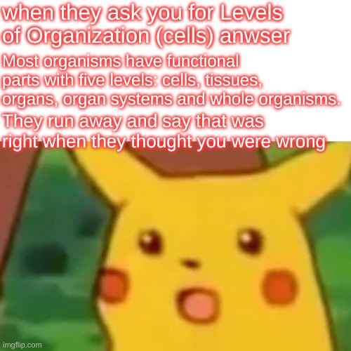 Surprised Pikachu | when they ask you for Levels of Organization (cells) anwser; Most organisms have functional parts with five levels: cells, tissues, organs, organ systems and whole organisms. They run away and say that was right when they thought you were wrong | image tagged in memes,surprised pikachu | made w/ Imgflip meme maker