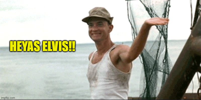 Forest Gump waving | HEYAS ELVIS!! | image tagged in forest gump waving | made w/ Imgflip meme maker