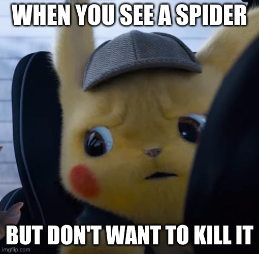 Unsettled detective pikachu | WHEN YOU SEE A SPIDER; BUT DON'T WANT TO KILL IT | image tagged in unsettled detective pikachu | made w/ Imgflip meme maker