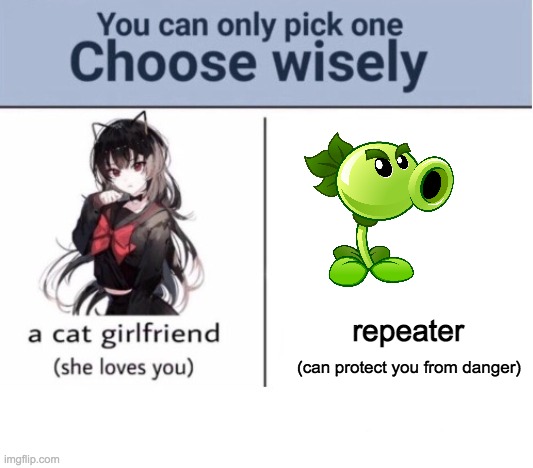 Choose wisely | repeater; (can protect you from danger) | image tagged in choose wisely | made w/ Imgflip meme maker