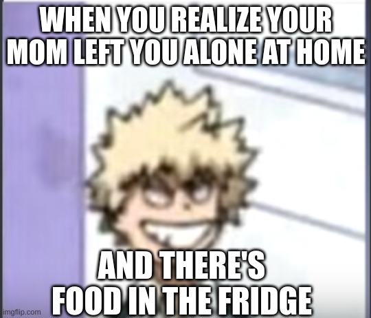 Bakugo sero smile | WHEN YOU REALIZE YOUR MOM LEFT YOU ALONE AT HOME; AND THERE'S FOOD IN THE FRIDGE | image tagged in bakugo sero smile | made w/ Imgflip meme maker