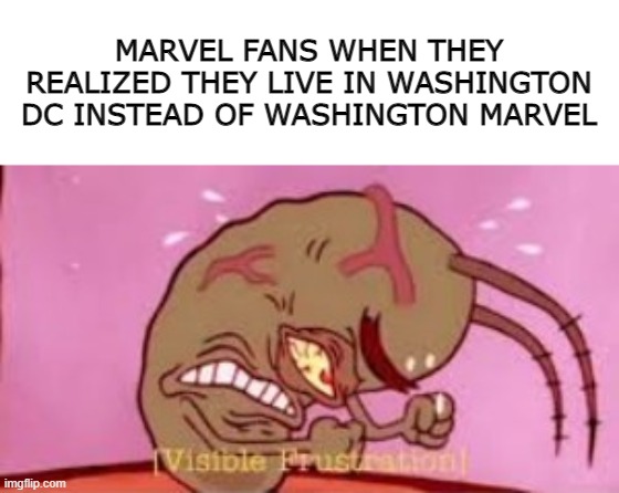 Visible Frustration |  MARVEL FANS WHEN THEY REALIZED THEY LIVE IN WASHINGTON DC INSTEAD OF WASHINGTON MARVEL | image tagged in visible frustration,washington dc,marvel,dc,marvel cinematic universe,dceu | made w/ Imgflip meme maker