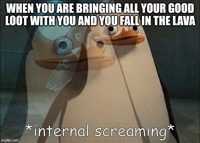 Private Internal Screaming | WHEN YOU ARE BRINGING ALL YOUR GOOD LOOT WITH YOU AND YOU FALL IN THE LAVA | image tagged in private internal screaming | made w/ Imgflip meme maker