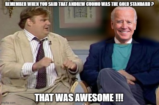 REMEMBER WHEN YOU SAID THAT ANDREW CUOMO WAS THE GOLD STANDARD ? THAT WAS AWESOME !!! | made w/ Imgflip meme maker