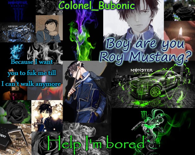 A tidbit of things I like | Boy are you Roy Mustang? Because I want you to fuk me till I can't walk anymore; Help I'm bored | image tagged in a tidbit of things i like | made w/ Imgflip meme maker