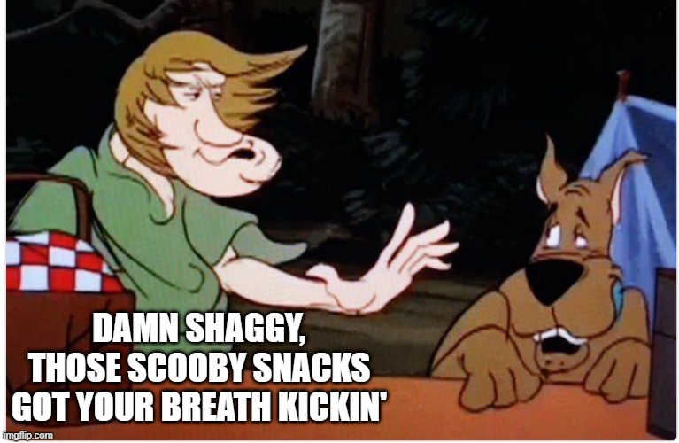 Shaggytosis | DAMN SHAGGY, THOSE SCOOBY SNACKS GOT YOUR BREATH KICKIN' | image tagged in scooby doo | made w/ Imgflip meme maker