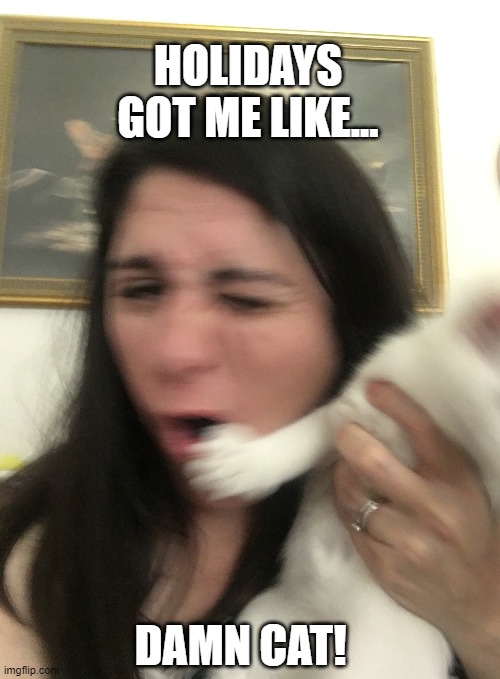 Slap in the face | HOLIDAYS GOT ME LIKE... DAMN CAT! | image tagged in cats,damn you,lol so funny | made w/ Imgflip meme maker