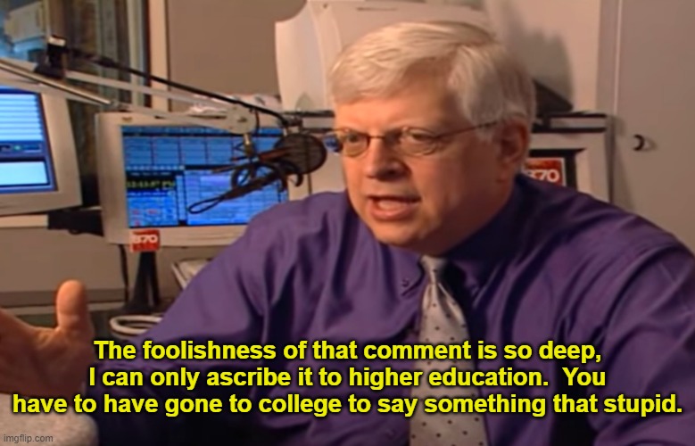 higher education | The foolishness of that comment is so deep, I can only ascribe it to higher education.  You have to have gone to college to say something that stupid. | image tagged in funny | made w/ Imgflip meme maker