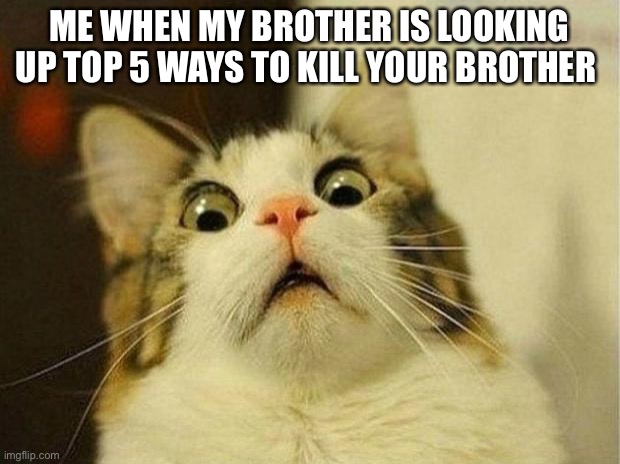 Scared Cat Meme | ME WHEN MY BROTHER IS LOOKING UP TOP 5 WAYS TO KILL YOUR BROTHER | image tagged in memes,scared cat | made w/ Imgflip meme maker