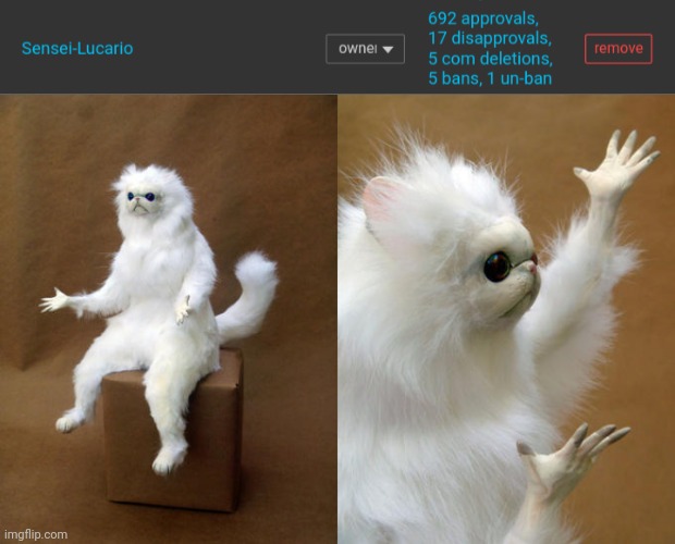 Didn't we all agree to remove his owner | image tagged in memes,persian cat room guardian | made w/ Imgflip meme maker