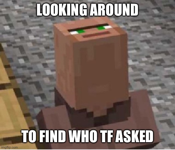 Minecraft Villager Looking Up | LOOKING AROUND; TO FIND WHO TF ASKED | image tagged in minecraft villager looking up,who asked | made w/ Imgflip meme maker