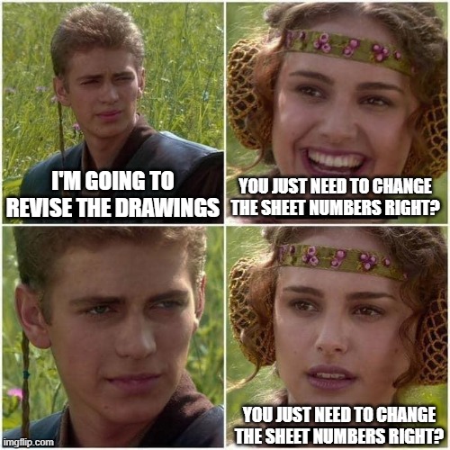 Anakin and Padme | YOU JUST NEED TO CHANGE THE SHEET NUMBERS RIGHT? I'M GOING TO REVISE THE DRAWINGS; YOU JUST NEED TO CHANGE THE SHEET NUMBERS RIGHT? | image tagged in anakin and padme | made w/ Imgflip meme maker