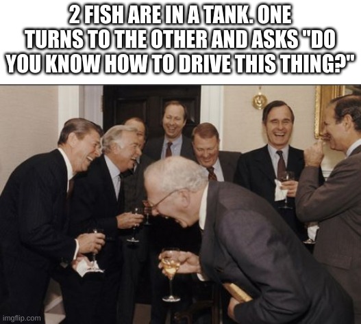 H A H A H A | 2 FISH ARE IN A TANK. ONE TURNS TO THE OTHER AND ASKS "DO YOU KNOW HOW TO DRIVE THIS THING?" | image tagged in memes,laughing men in suits | made w/ Imgflip meme maker