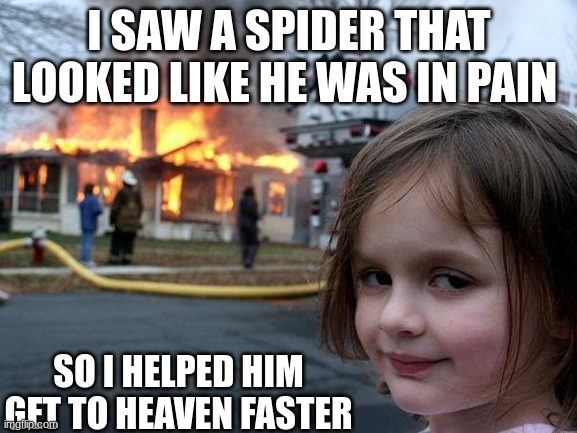 SPIDER | I SAW A SPIDER THAT LOOKED LIKE HE WAS IN PAIN; SO I HELPED HIM GET TO HEAVEN FASTER | image tagged in memes,disaster girl,spider,heaven,a helping hand | made w/ Imgflip meme maker