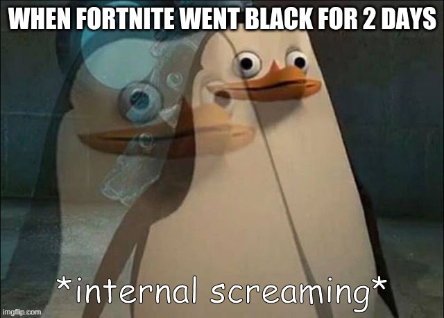 Black-nite | WHEN FORTNITE WENT BLACK FOR 2 DAYS | image tagged in private internal screaming | made w/ Imgflip meme maker