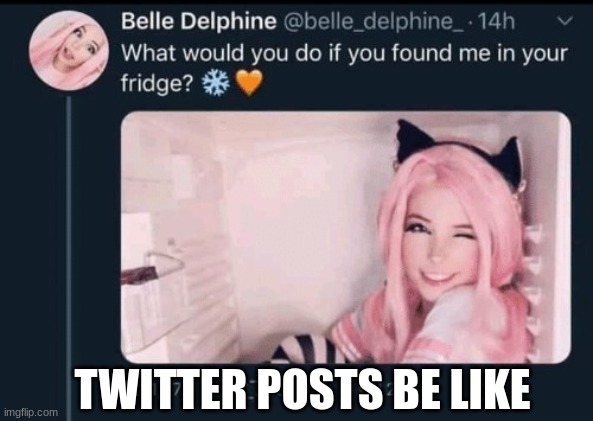 Twitter be like tho | TWITTER POSTS BE LIKE | image tagged in twitter,cat,cat girl,belle delphine | made w/ Imgflip meme maker