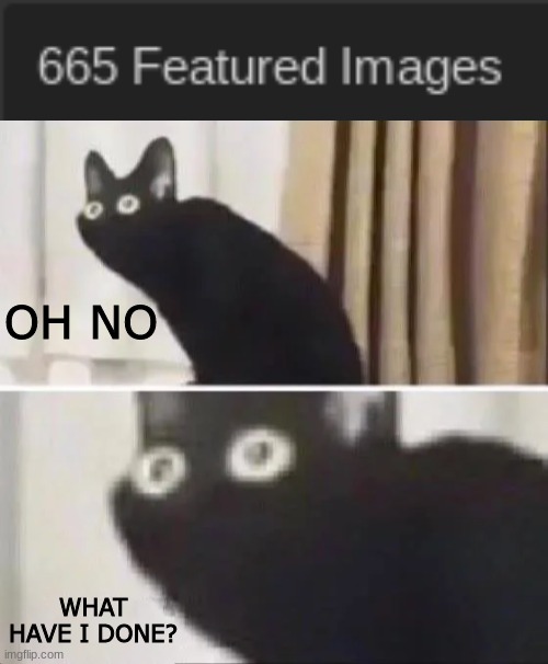 my six hundredth sixty sixth featured meme | OH NO; WHAT HAVE I DONE? | image tagged in memes,oh no black cat,on no,what have i done,666 | made w/ Imgflip meme maker