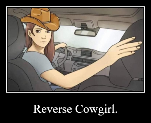 Reverse Cowgirl Blank Meme Template