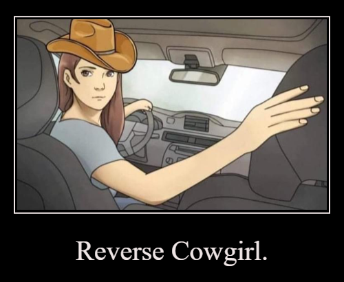Reverse Cowgirl Blank Meme Template