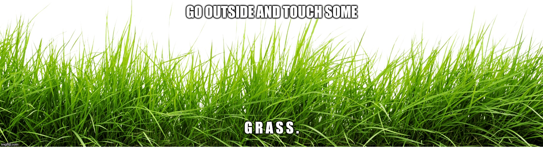 Do it | GO OUTSIDE AND TOUCH SOME; G R A S S . | image tagged in grass | made w/ Imgflip meme maker
