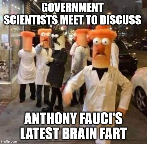 CovIdiocy | GOVERNMENT  SCIENTISTS MEET TO DISCUSS; ANTHONY FAUCI'S LATEST BRAIN FART | image tagged in fauci,covid19 | made w/ Imgflip meme maker