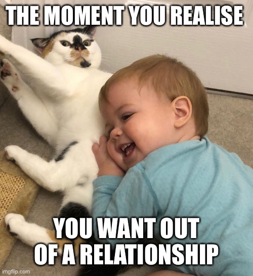 When they are more into you than you’re into them | THE MOMENT YOU REALISE; YOU WANT OUT OF A RELATIONSHIP | image tagged in funny memes,fun,grumpy cat,upset,relationships,cute | made w/ Imgflip meme maker