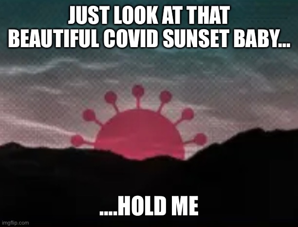 Covid sunset | JUST LOOK AT THAT BEAUTIFUL COVID SUNSET BABY…; ….HOLD ME | image tagged in covid sunset,beautiful,covid,lets go,brandon | made w/ Imgflip meme maker