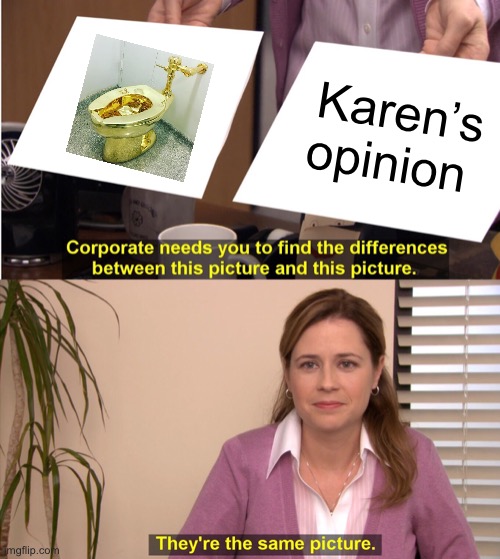 Like bruh | Karen’s opinion | image tagged in memes,they're the same picture | made w/ Imgflip meme maker