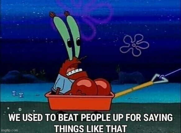 Mr. Krabs We used to beat people up for saying things like that | image tagged in mr krabs we used to beat people up for saying things like that | made w/ Imgflip meme maker