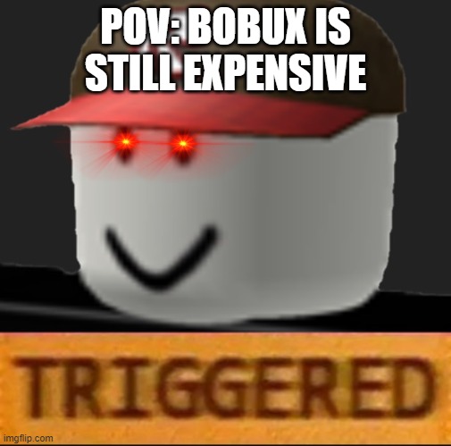 AM GONNA COMMIT OOF ROBLOX IF BOBUX IS STILL EXPENSIVE >:( | POV: BOBUX IS STILL EXPENSIVE | image tagged in roblox triggered,robux,bobux,roblox | made w/ Imgflip meme maker